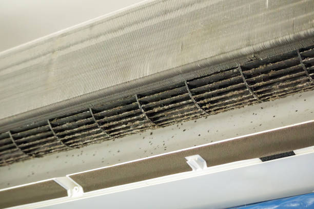 Best Commercial HVAC Duct Cleaning  in Crump, TN